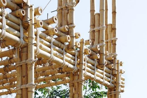 Bamboo for constructoin